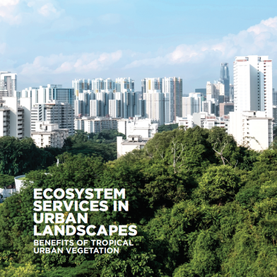 Ecosystem Services in Urban Landscape