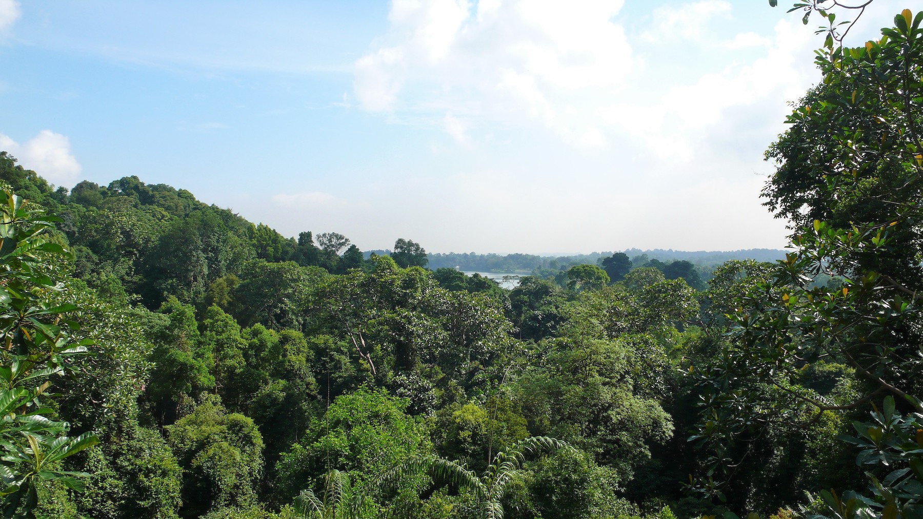 Healthy soil ecosystems for urban sustainability