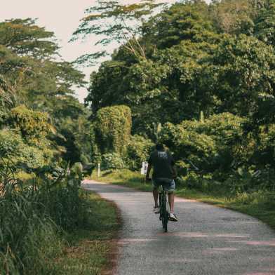 A better designed Singapore, from bicycle paths to sustainability