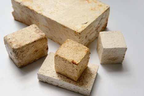 Test cubes with different type of agricultural waste as substrate for mycelium growth
